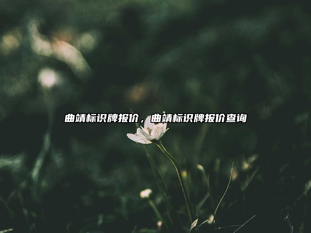 曲靖標(biāo)識(shí)牌報(bào)價(jià)，曲靖標(biāo)識(shí)牌報(bào)價(jià)查詢(xún)