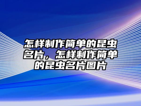 怎樣制作簡單的昆蟲名片，怎樣制作簡單的昆蟲名片圖片