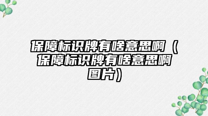 保障標(biāo)識牌有啥意思?。ūＵ蠘?biāo)識牌有啥意思啊圖片）