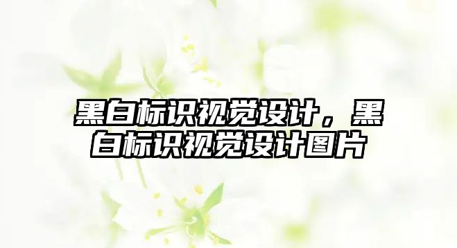 黑白標(biāo)識視覺設(shè)計，黑白標(biāo)識視覺設(shè)計圖片