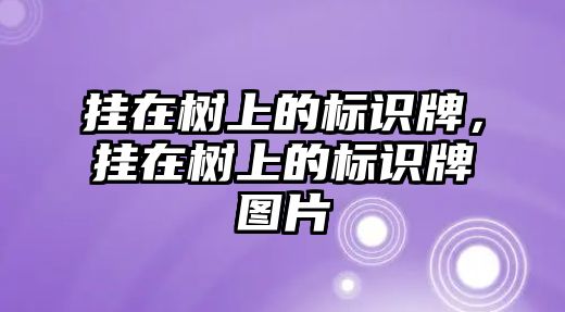 掛在樹上的標(biāo)識牌，掛在樹上的標(biāo)識牌圖片