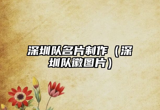 深圳隊(duì)名片制作（深圳隊(duì)徽?qǐng)D片）