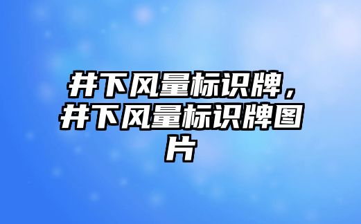 井下風量標識牌，井下風量標識牌圖片