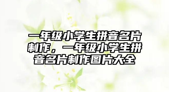 一年級小學(xué)生拼音名片制作，一年級小學(xué)生拼音名片制作圖片大全