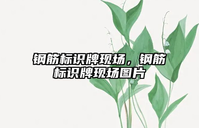 鋼筋標(biāo)識牌現(xiàn)場，鋼筋標(biāo)識牌現(xiàn)場圖片