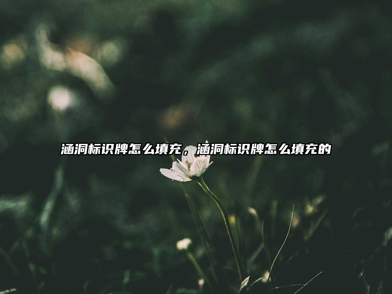 涵洞標識牌怎么填充，涵洞標識牌怎么填充的