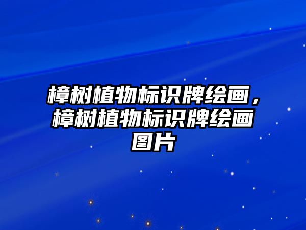 樟樹植物標識牌繪畫，樟樹植物標識牌繪畫圖片