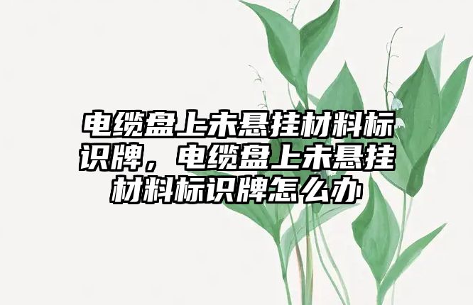 電纜盤上未懸掛材料標(biāo)識牌，電纜盤上未懸掛材料標(biāo)識牌怎么辦