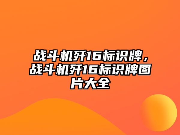 戰(zhàn)斗機(jī)殲16標(biāo)識(shí)牌，戰(zhàn)斗機(jī)殲16標(biāo)識(shí)牌圖片大全