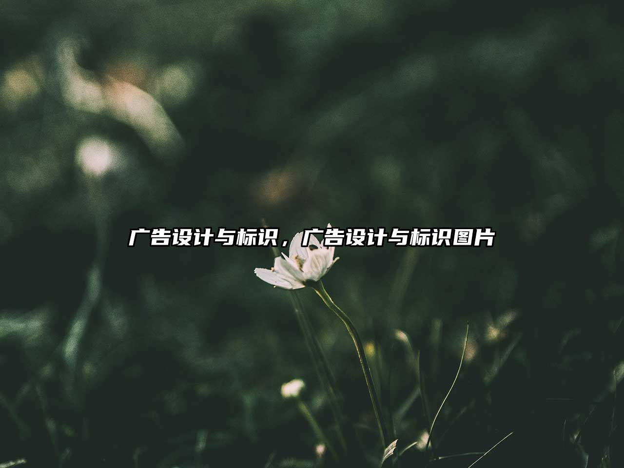 廣告設(shè)計(jì)與標(biāo)識(shí)，廣告設(shè)計(jì)與標(biāo)識(shí)圖片