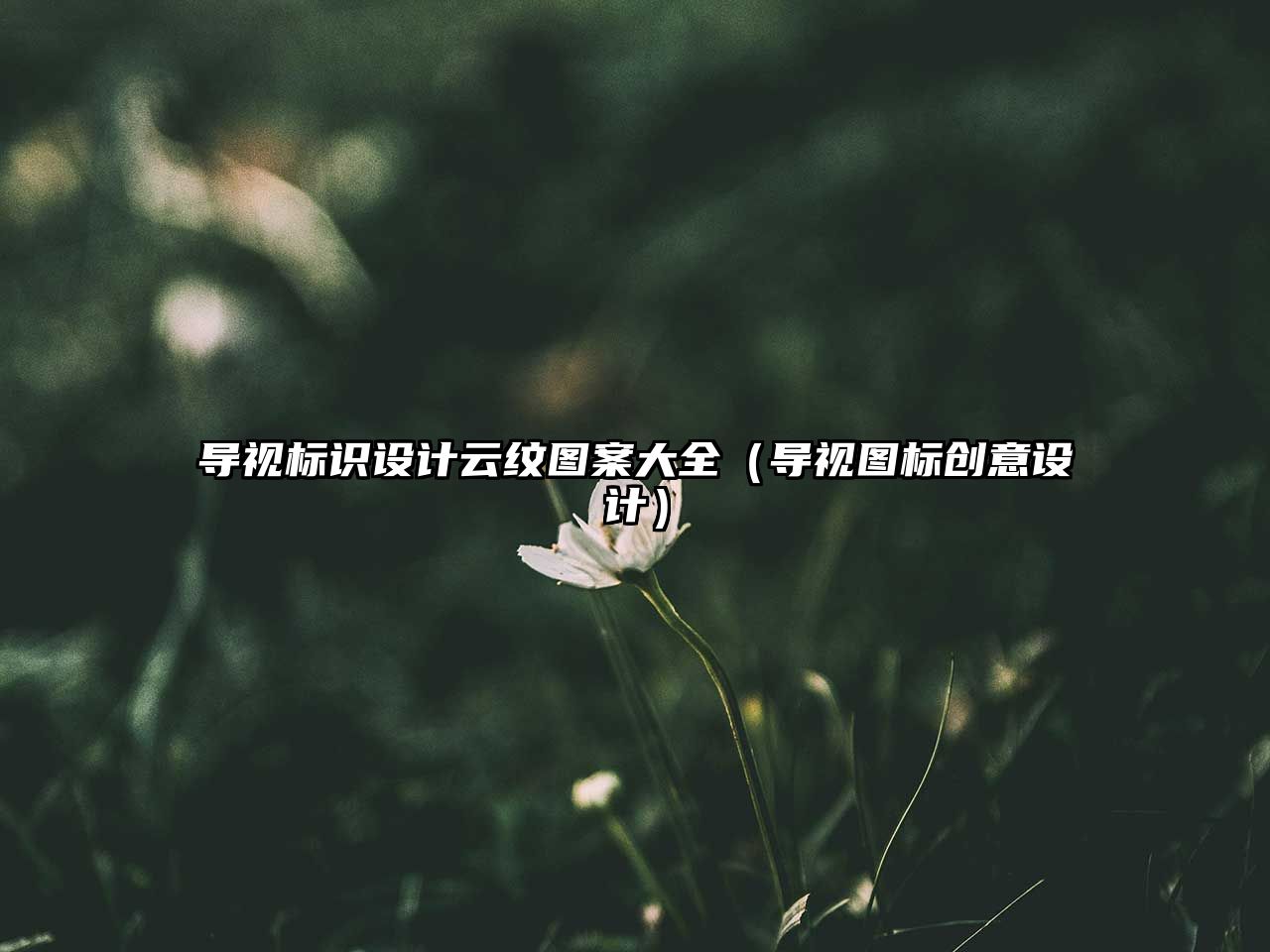 導(dǎo)視標(biāo)識(shí)設(shè)計(jì)云紋圖案大全（導(dǎo)視圖標(biāo)創(chuàng)意設(shè)計(jì)）