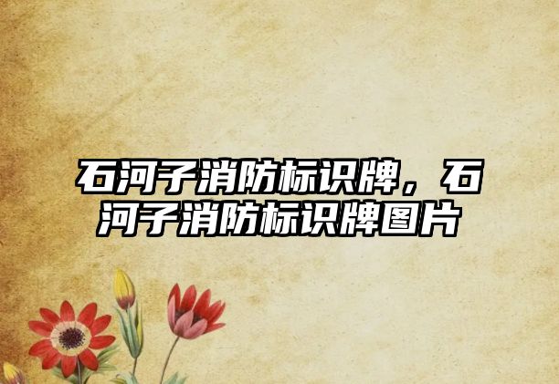 石河子消防標識牌，石河子消防標識牌圖片