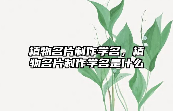 植物名片制作學名，植物名片制作學名是什么