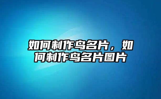 如何制作鳥名片，如何制作鳥名片圖片