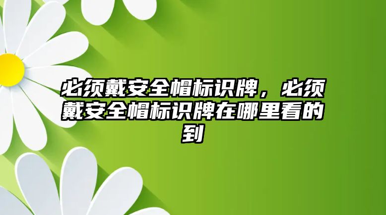 必須戴安全帽標(biāo)識牌，必須戴安全帽標(biāo)識牌在哪里看的到