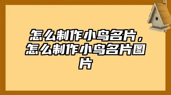 怎么制作小鳥名片，怎么制作小鳥名片圖片