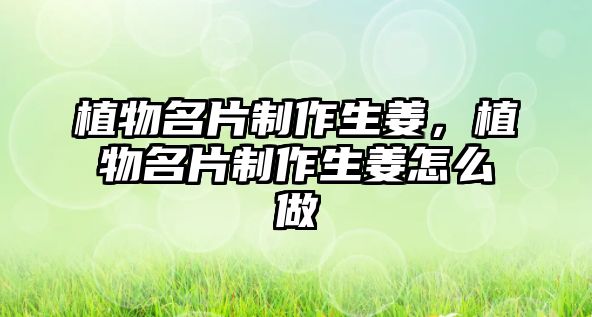 植物名片制作生姜，植物名片制作生姜怎么做