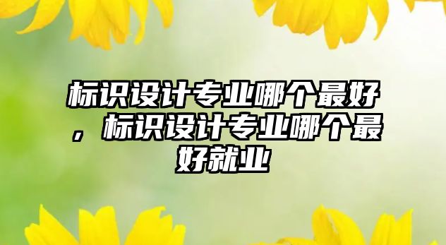 標(biāo)識設(shè)計專業(yè)哪個最好，標(biāo)識設(shè)計專業(yè)哪個最好就業(yè)