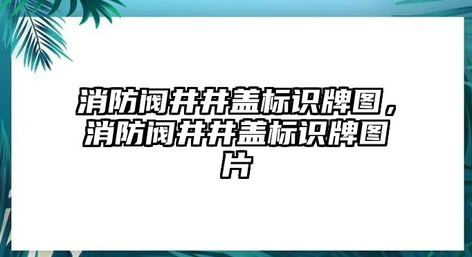 消防閥井井蓋標識牌圖，消防閥井井蓋標識牌圖片