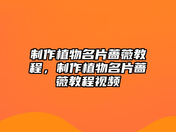 制作植物名片薔薇教程，制作植物名片薔薇教程視頻