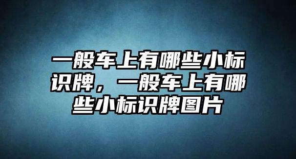 一般車上有哪些小標識牌，一般車上有哪些小標識牌圖片