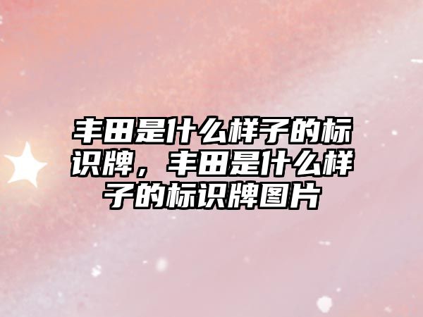 豐田是什么樣子的標(biāo)識牌，豐田是什么樣子的標(biāo)識牌圖片