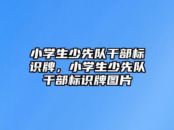 小學生少先隊干部標識牌，小學生少先隊干部標識牌圖片