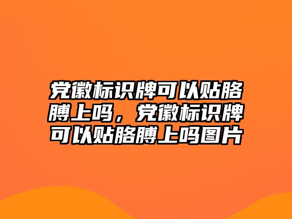 黨徽標識牌可以貼胳膊上嗎，黨徽標識牌可以貼胳膊上嗎圖片