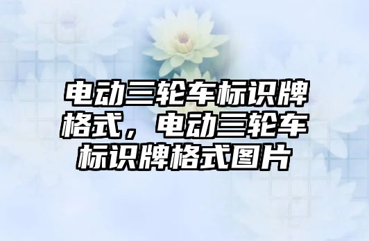 電動三輪車標識牌格式，電動三輪車標識牌格式圖片