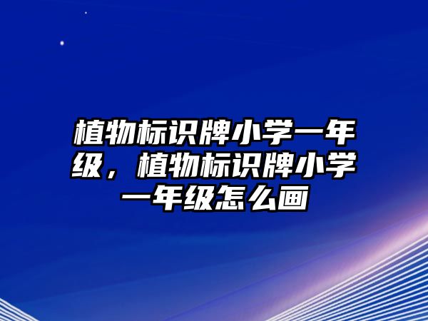 植物標(biāo)識牌小學(xué)一年級，植物標(biāo)識牌小學(xué)一年級怎么畫