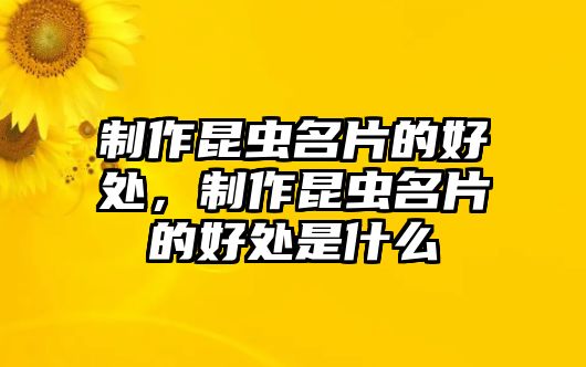 制作昆蟲(chóng)名片的好處，制作昆蟲(chóng)名片的好處是什么