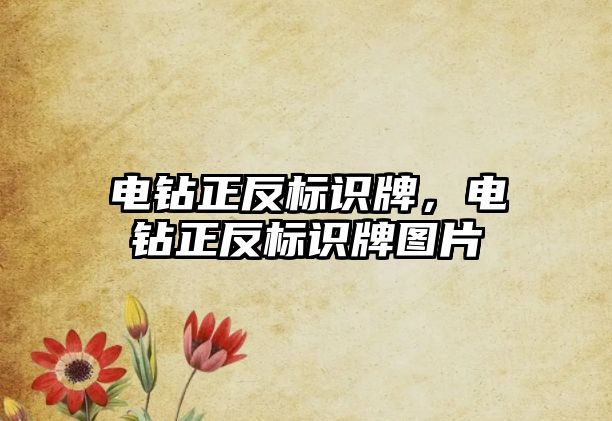 電鉆正反標(biāo)識牌，電鉆正反標(biāo)識牌圖片