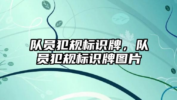 隊員犯規(guī)標識牌，隊員犯規(guī)標識牌圖片