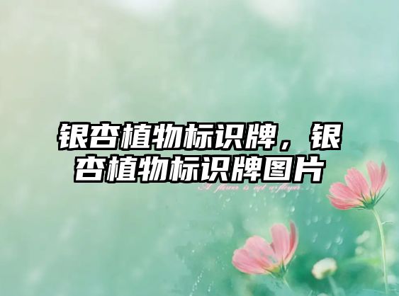 銀杏植物標識牌，銀杏植物標識牌圖片