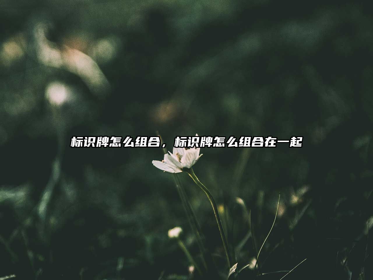 標(biāo)識(shí)牌怎么組合，標(biāo)識(shí)牌怎么組合在一起