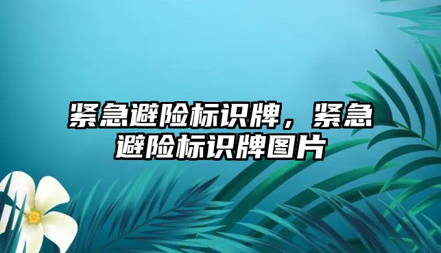 緊急避險標識牌，緊急避險標識牌圖片